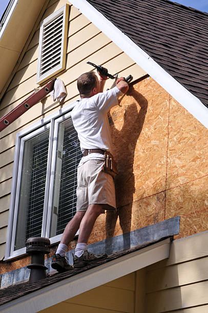 Best Carpet Removal and Disposal  in Mena, AR